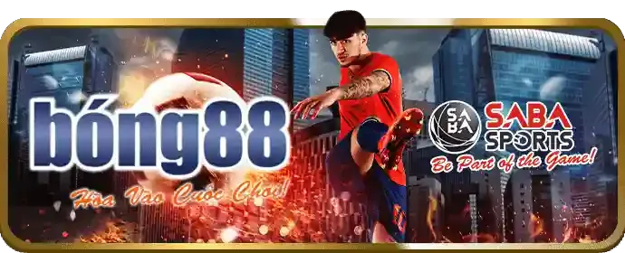 Cá cược thể thao ppg66 nhà cái